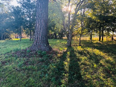 101 Wenmar Ave, Pass Christian, MS 39571 - photo 5