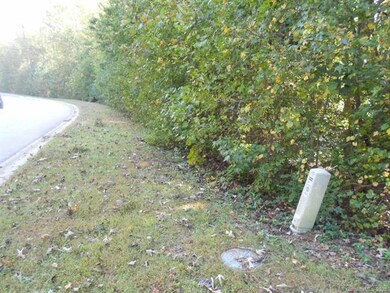 lot 29 Cottonwood Dr, Denver, NC 28037 - photo 6