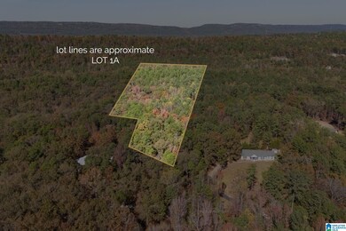 284 Nichols Rd, Chelsea, AL 35043 - photo 2