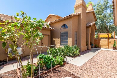 5950 W Drake Ct, Chandler, AZ 85226 - photo 3