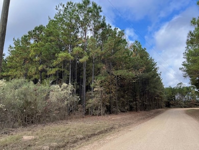 0 Sportsmans Paradise Rd, Many, LA 71449 - photo 2