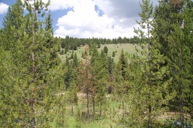 0 Michener Creek Rd unit 214771, Big Sky, MT 59716 - photo 2