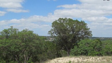 686 Cedar Hills Dr, Fredericksburg, TX 78624 - photo 3