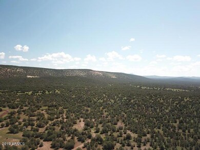 DJI_0013