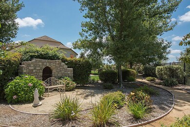 backyard_1200