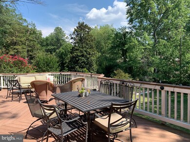 1005 Dalebrook Dr, Alexandria, VA 22308 - photo 6