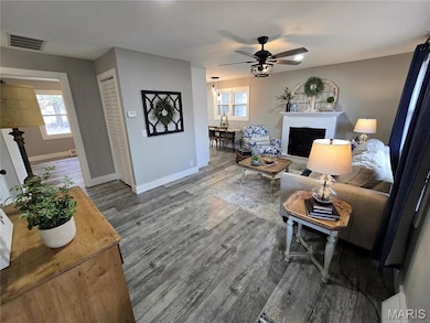 1003 W Saint Francis St, Dexter, MO 63841 - photo 3