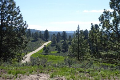 Knoll Top Views