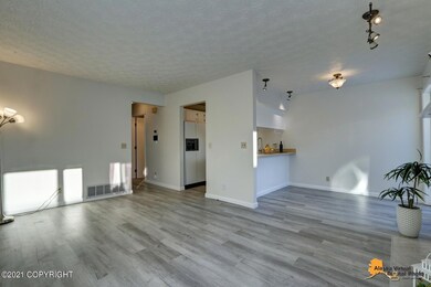 3442 Sagan Cir, Anchorage, AK 99517 - photo 2