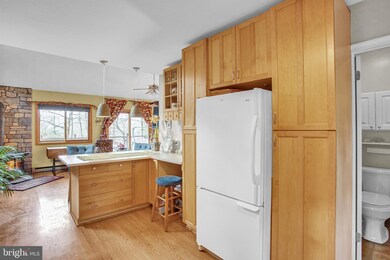 305 Alleghenyville Rd, Mohnton, PA 19540 - photo 5