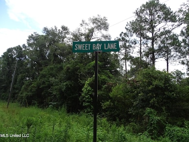 0 Sweetbay Ln unit 4120426, Wiggins, MS 39577 - photo 3