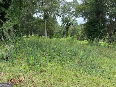 3 Flintview Dr, Cordele, GA 31015 - photo 2