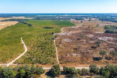 0 SW 282nd St, Newberry, FL 32669 - photo 7