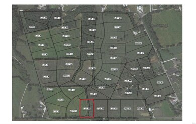 2201 Wilmes Rd, Wentzville, MO 63385 - photo 4