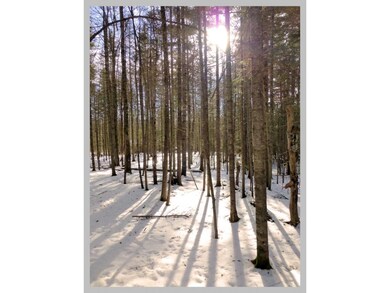 Lot #10 Judges Rd, Thornton, NH 03285 - photo 2