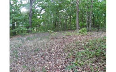 Additional View