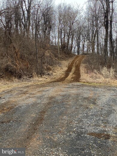 LOT 3 Old Orchard Rd, Happy Creek, VA 22642 - photo 2