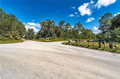 0 Sanctuary Rd unit 225078396, Naples, FL 34120 - photo 4