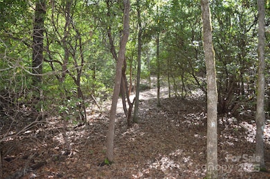 Lot 9 Galax Ln unit 9, Brevard, NC 28712 - photo 4