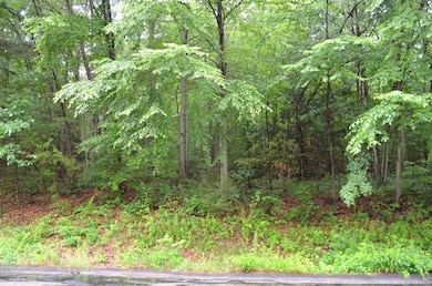 67 Babcock Tavern Rd, Ware, MA 01082 - photo 3