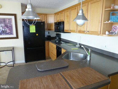 Golden Sands, Ocean City, MD 21842 - photo 4