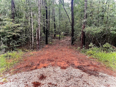 14471 Kyle Ln, Conroe, TX 77306 - photo 3