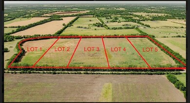 Tract 3 County Rd 4040, Ector, TX 75439 - photo 3