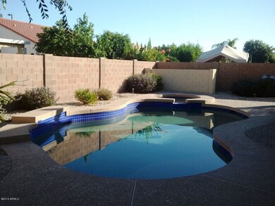 Fabulous back yard Pool