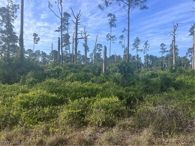 1042 Greenfield St unit 20, Lehigh Acres, FL 33974 - photo 2
