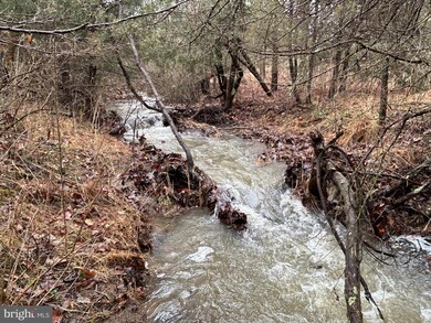 0 Quantico Trail Bantry Way unit WVGT2000778, Maysville, WV 26833 - photo 5