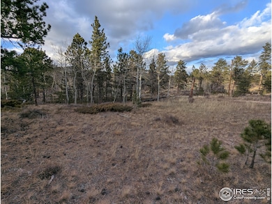 29 Santa Clara Ct, Red Feather Lakes, CO 80545 - photo 2