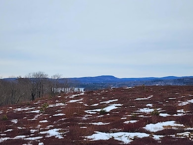 3 Whispering Berries Hill, Liberty, ME 04949 - photo 3