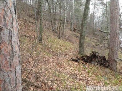 L9 B1 Lake View Dr, Cushing, MN 56443 - photo 4