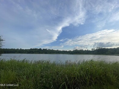 0 Lewis Ln unit 24219131, Starkville, MS 39759 - photo 7