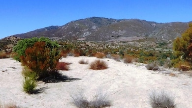 37245 Old Forest Rd, Anza, CA 92539 - photo 3