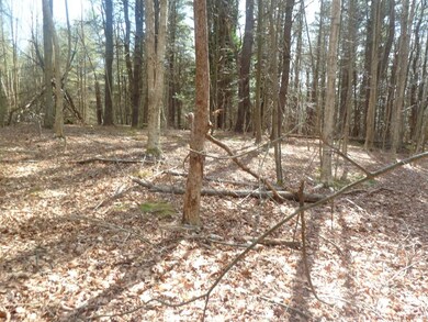 167 West Rd, Bernardston, MA 01337 - photo 2