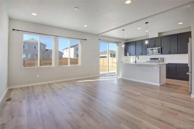 462 Blanket Flower St, Calhan, CO 80808 - photo 3