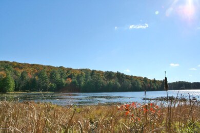 81 Covered Bridge Dr, Hawley, PA 18428 - photo 5