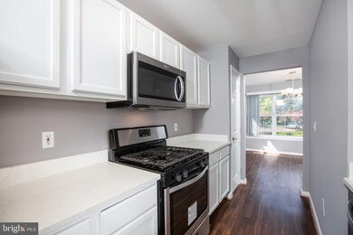 6510 Lake Park Dr, Greenbelt, MD 20770 - photo 4