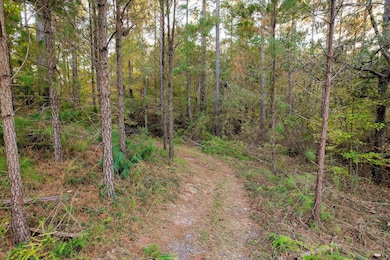 Beautiful walking trails within the lot!