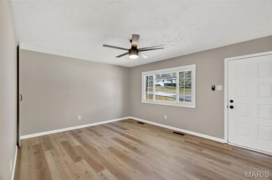 5102 Ville Donna Ln, Hazelwood, MO 63042 - photo 5