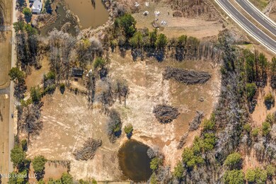 225 Burnham Rd, Brandon, MS 39042 - photo 5