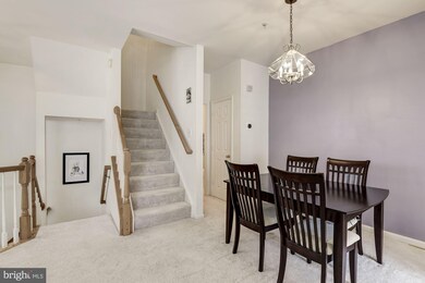 20406 Cool Fern Square, Ashburn, VA 20147 - photo 5