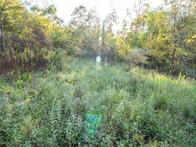 8 acres Whiskey Run Rd, Quaker City, OH 43773 - photo 5