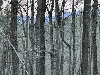 TBD River Beach Ln, Galax, VA 24333 - photo 5