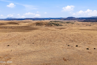 000 Tbd, Greer, AZ 85927 - photo 7