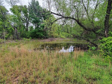 View of local wilderness with a water view