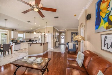 408 Cypress View Dr, Oldsmar, FL 34677 - photo 7