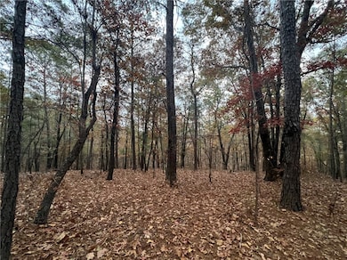 0 U S Highway 280, Jackson's Gap, AL 36861 - photo 4