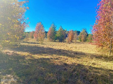 000 Running Deer Ln, Huron, TN 38345 - photo 6